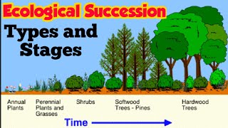 Ecological Succession  Primary and Secondary succession  Stages of Xerosere Hindi urdu [upl. by Assej]