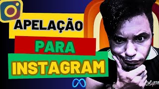 Como fazer uma apelação para o Instagram [upl. by Jacobine]