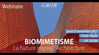 Biomimétisme  Quand la nature inspire larchitecture [upl. by Elwaine393]