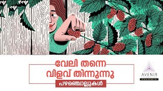 Veli Thanne Vilavu Thinnunnu  Malayalam Proverbs  Avenir Technology [upl. by Nylg]