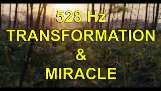 528Hz Transformation et Miracles réparation de l’ADN [upl. by Onaicilef]