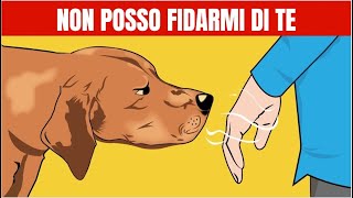 Come fanno i cani a riconoscere una persona cattiva [upl. by Levon830]