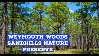 Guide to Weymouth Woods Sandhills Nature Preserve  Excellent flat hiking  Longleaf Pine [upl. by Hike]