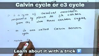 Calvin cycle  C3  in hindi ll biology ll [upl. by Ordnazil]