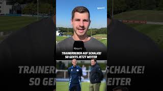 DAS sind die Gründe für das SchalkeBeben 💥 shorts [upl. by Fulmer]