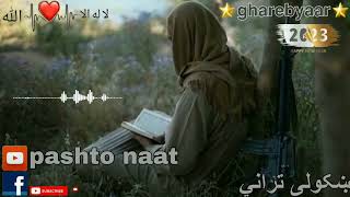 پشتو شعرونهښایسته شعرونهښکولی ترانيپشتو شعر ونہښایسته شعرونهpashto naat [upl. by Ahgem]