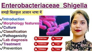 Enterobacteriaceae Shigella in Hindi  Lab diagnosis  Treatment  Prevention  MLT  Nursing [upl. by Dragoon]