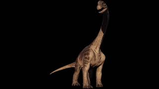 Camarasaurus Supremus Sounds JP [upl. by Alano]