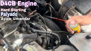 Hyundai D4CB engine Hard Starting at Palyado [upl. by Lynne316]