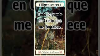 Mensaje Bíblico de hoy Filipenses 413 Fe VersiculoDeLaBiblia TextosBiblicos EstudioBiblico [upl. by Ahsinit]