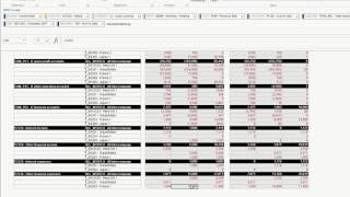 Demo Intercompany Matching with SAP BPC [upl. by Basset]