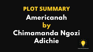 PLOT SUMMARY  Americanah by Chimamanda Ngozi Adichie [upl. by Ysdnil904]