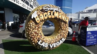 An HONEST Review of Siegels Bagelmania  The Popular Deli amp Bagel Diner in Las Vegas  9142024 [upl. by Jeggar]