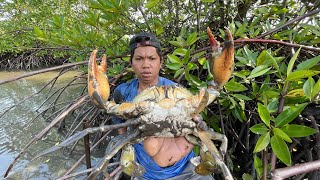 Catching Huge Mud Crabs at The Mangrove Trees after Water Low Tide [upl. by Ulrick]