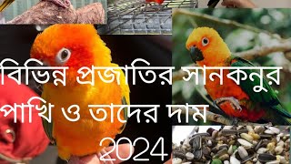 sun conure birds price ll sun conure full details ll food breeding box ll 2024 সান কনুর পাখির দাম l [upl. by Bertie]