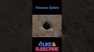 Spiders Movie Explained in Hindi LDstory [upl. by Alaet940]