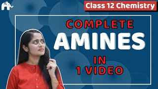 Amines Class 12 Chemistry One Shot NCERT Chapter 13  CBSE NEET JEE [upl. by Becki423]