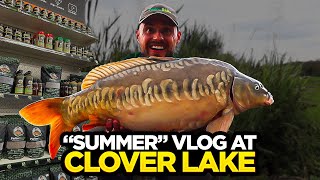 Summer Carp Fishing Vlog At Coking Farm  NEW STOCKISTS [upl. by Herrick]