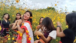 zeme ne Heleu Yilang Video cover by HAA Warden and students Singer Ngamlu Kuamezeliangrongpui [upl. by Noed174]