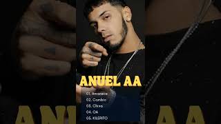 Anuel AA Mix 2024  Anuel AA Sus Mejores Éxitos  Mix Reggaeton 2024 [upl. by Ahmar]