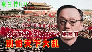 康生传17 别怕天下大乱 文革教父 中央文革小组顾问 [upl. by Oirelav439]