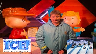 Ice At Gaylord Palms Resort Orlando charliebrownchristmas charliebrown fatherandson christmas [upl. by Asirralc]