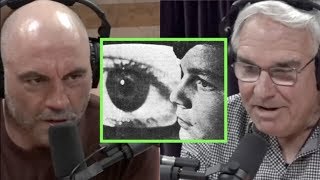 The Secret History of MK Ultra wTom ONeill  Joe Rogan [upl. by Nossah]