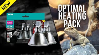 The Ultimate Heating Combination For Reptiles  Halogen amp Deep Heat Projector [upl. by Izmar]