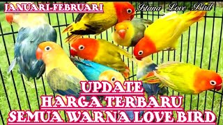 UPDATE HARGA LOVE BIRD TERBARU☆JANUARIFEBRUARI 2024☆ SEMUA WARNAombyokan hargalovebird [upl. by Crutcher]