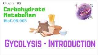 BioC09003Glycolysis 110 – Introduction  Dr Prashant Sharma [upl. by Mathilde]