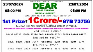 🔴 Evening 0800 PM Dear Nagaland State Live Lottery Result Today ll Date23072024 ll [upl. by Nrehtak463]