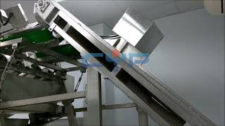 Shrimp Sizing Machine wiht 6 channels [upl. by Assirod]