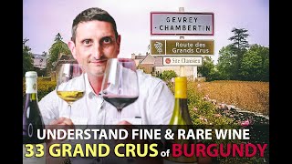 What makes the 33 Grand Crus of Burgundy Unique  Best Bourgogne Wines Explained [upl. by Ennaeirrac]