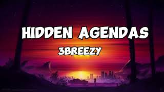 3breezy Hidden agendas Lyrics [upl. by Crean505]