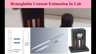 Hb Content Estimation  How to Count  Sahlis Method Hemoglobin test in Lab  BPharm HAP Practical [upl. by Hamlet]