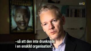 Wikileaks  Med läckan som vapen SWEDISH 20101212 [upl. by Nueormahc]