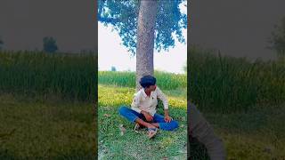 Kare tariya tare pa rah Jaicomedy funny subscribe shorts viralvideo trending [upl. by Ney]