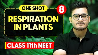 RESPIRATION IN PLANTS  Complete Chapter in One Video  ConceptsPYQs  Class 11th NEET [upl. by Pease790]