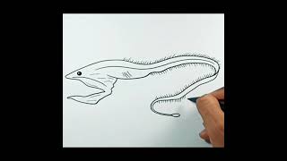 How to draw Gulper Eel shorts [upl. by Anirahtak]