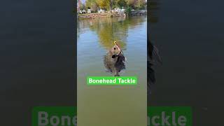 Lake Conroe Bluegilltommyezelltexascrappiepro7634 bluegill [upl. by Nelac]