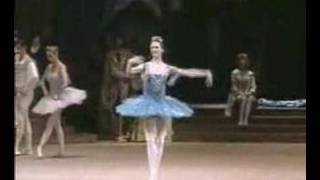 Svetlana Zakharova Bolshoi Ballet Videobaletnet collectio [upl. by Alburg]