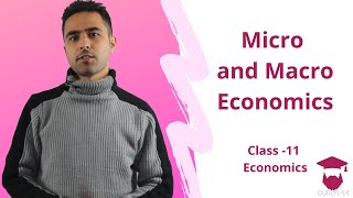 Micro and Macro Economics in Nepali  Class 11  Economics [upl. by Yniatirb]