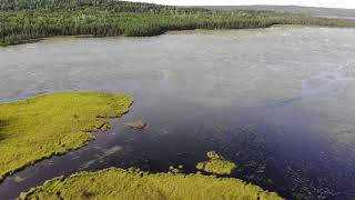 Beaver Pond [upl. by Palma]