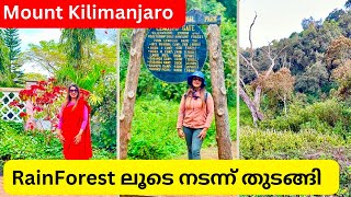 EP 4 Rain Forest ലൂടെ നടന്ന് തുടങ്ങി  solo climbing mount kilimanjaro Tanzania Africa [upl. by Adnahsal]