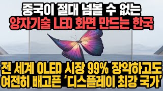 경제 중국이 절대 넘볼 수 없는 양자기술 LED 화면 만드는 한국 전 세계 OLED 시장 99 장악하고도 여전히 배고픈 ‘디스플레이 최강 국가’ [upl. by Hars]