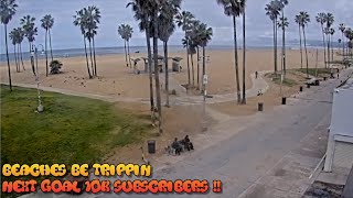 Venice Beach Webcam  Venice Beach Live Cam  venice beach live boardwalk cam [upl. by Ettenrahs]