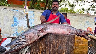 KASIMEDU 🔥 SPEED SELVAM  15 KG BIGG SIZE SHEELA FISH CUTTING VIDEO  IN KASIMEDU  FF CUTTING 🔪 [upl. by Kopaz]