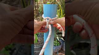 The strongest knot in the world knots tricks useful diy tips shorts [upl. by Hindorff]