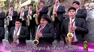 Orquesta Los Alegres de Piños Yauyos [upl. by Noman]