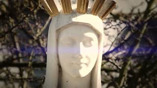 APPARITION DE LA VIERGE A BEAURAING [upl. by Bow]